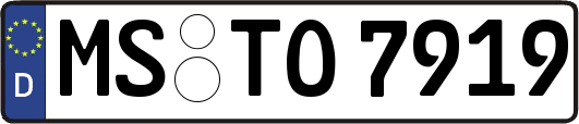 MS-TO7919