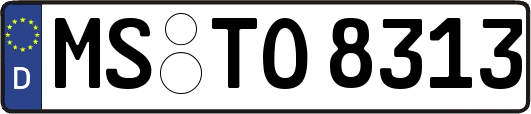 MS-TO8313