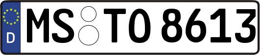 MS-TO8613