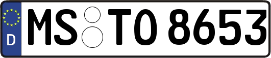 MS-TO8653