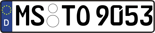 MS-TO9053