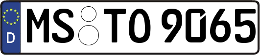 MS-TO9065