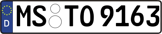 MS-TO9163