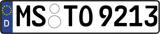 MS-TO9213