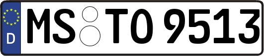 MS-TO9513