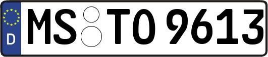 MS-TO9613