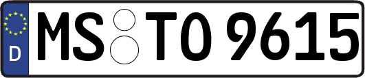 MS-TO9615