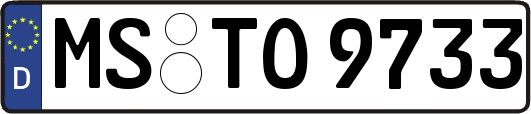 MS-TO9733