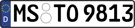 MS-TO9813