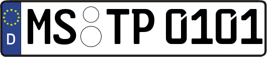 MS-TP0101