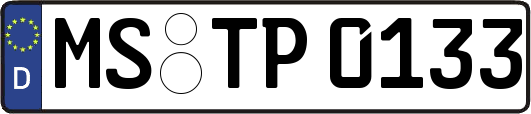 MS-TP0133