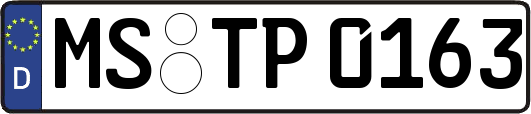 MS-TP0163