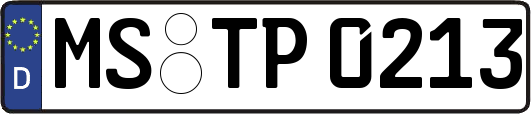 MS-TP0213