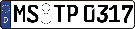 MS-TP0317
