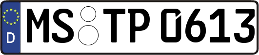 MS-TP0613