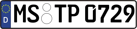 MS-TP0729