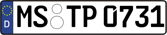 MS-TP0731