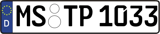 MS-TP1033