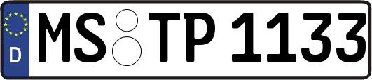 MS-TP1133
