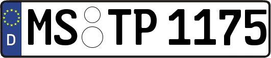 MS-TP1175