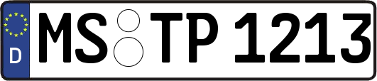MS-TP1213