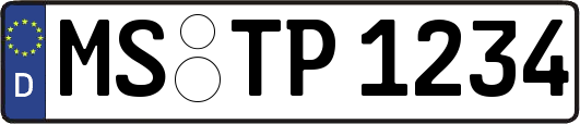 MS-TP1234
