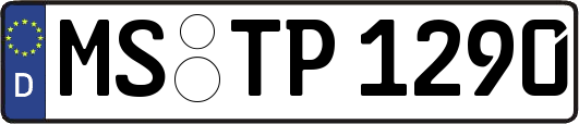 MS-TP1290