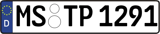 MS-TP1291