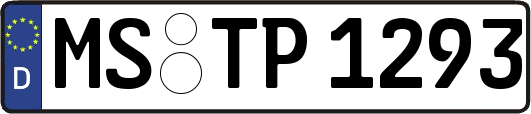 MS-TP1293