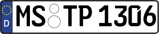 MS-TP1306