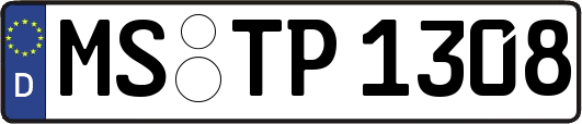 MS-TP1308