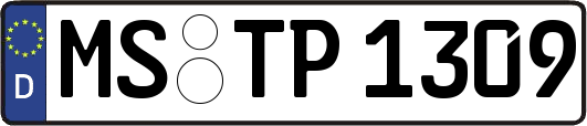 MS-TP1309
