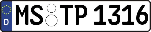MS-TP1316