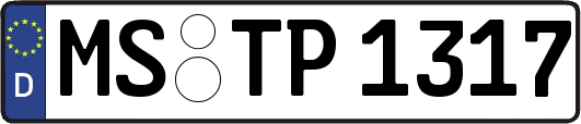 MS-TP1317