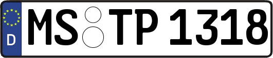 MS-TP1318