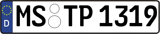 MS-TP1319