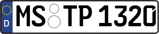 MS-TP1320