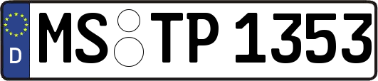 MS-TP1353