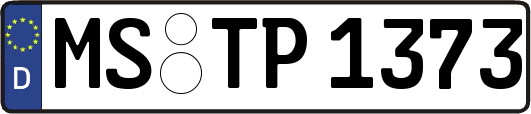 MS-TP1373