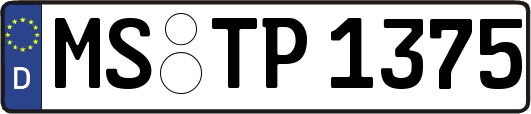 MS-TP1375