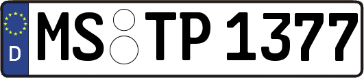 MS-TP1377