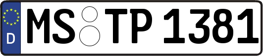MS-TP1381