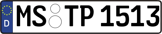 MS-TP1513