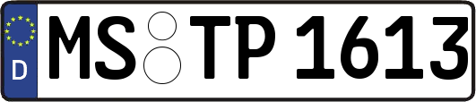 MS-TP1613