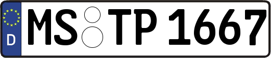 MS-TP1667