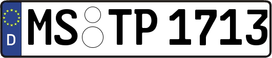 MS-TP1713