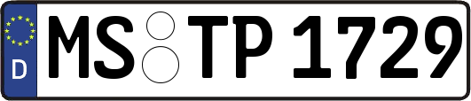MS-TP1729