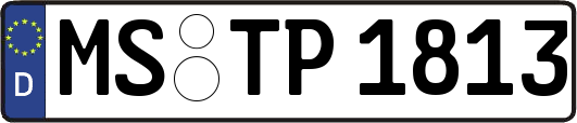 MS-TP1813