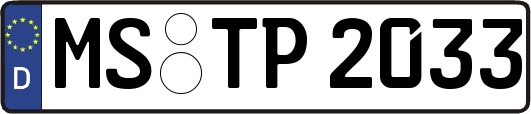MS-TP2033