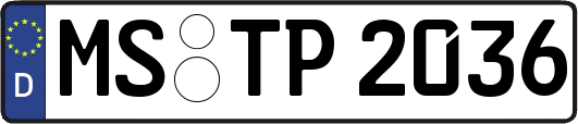MS-TP2036